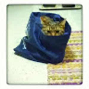 Meet your Posher, Michelle-randy